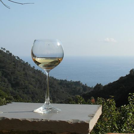 Agriturismo Costa di Campo Vernazza Exterior foto