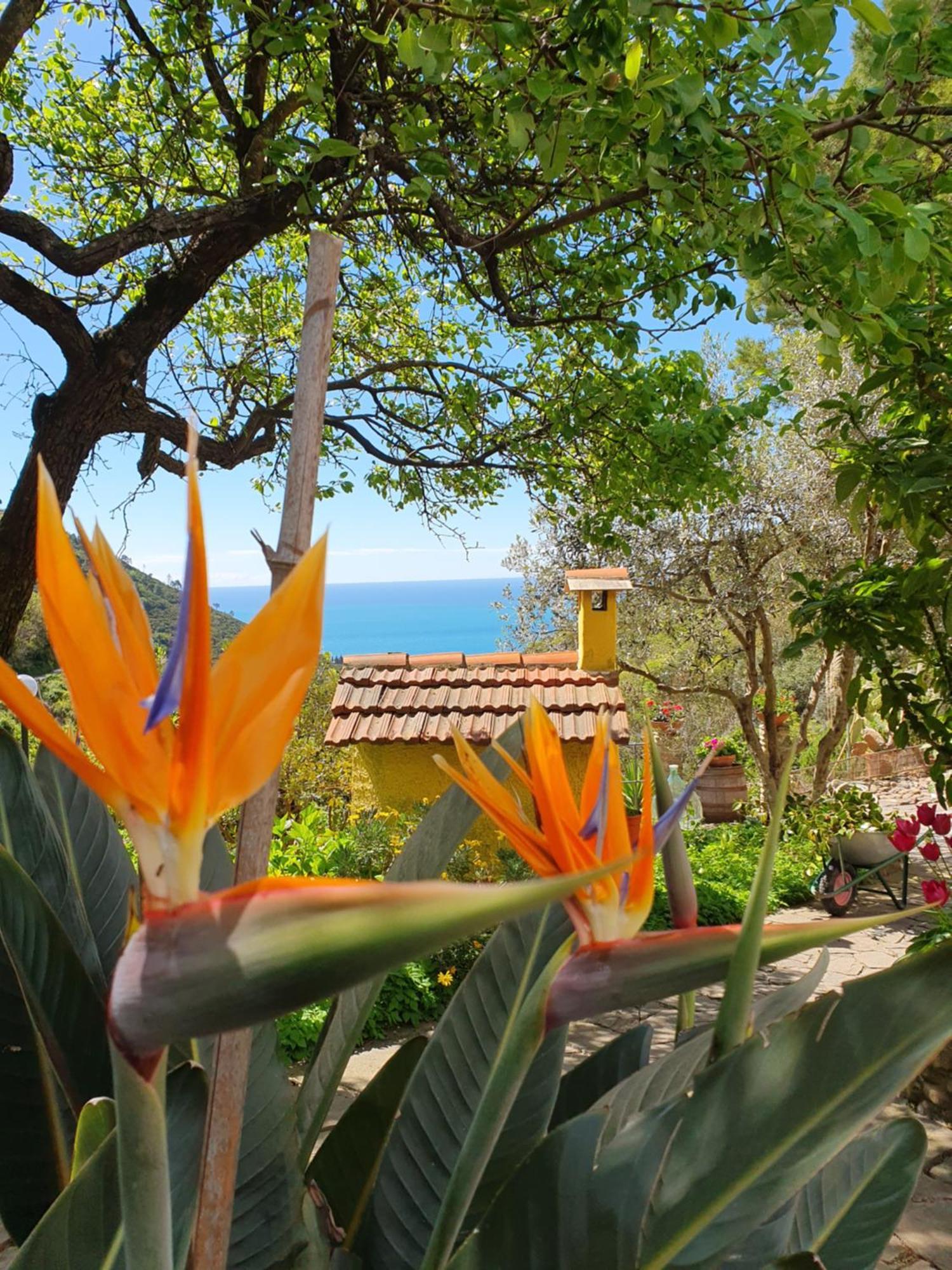 Agriturismo Costa di Campo Vernazza Exterior foto