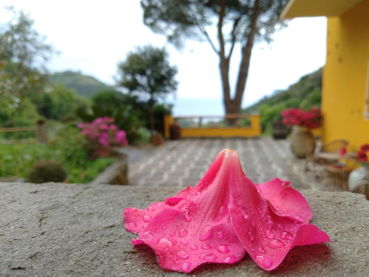Agriturismo Costa di Campo Vernazza Exterior foto