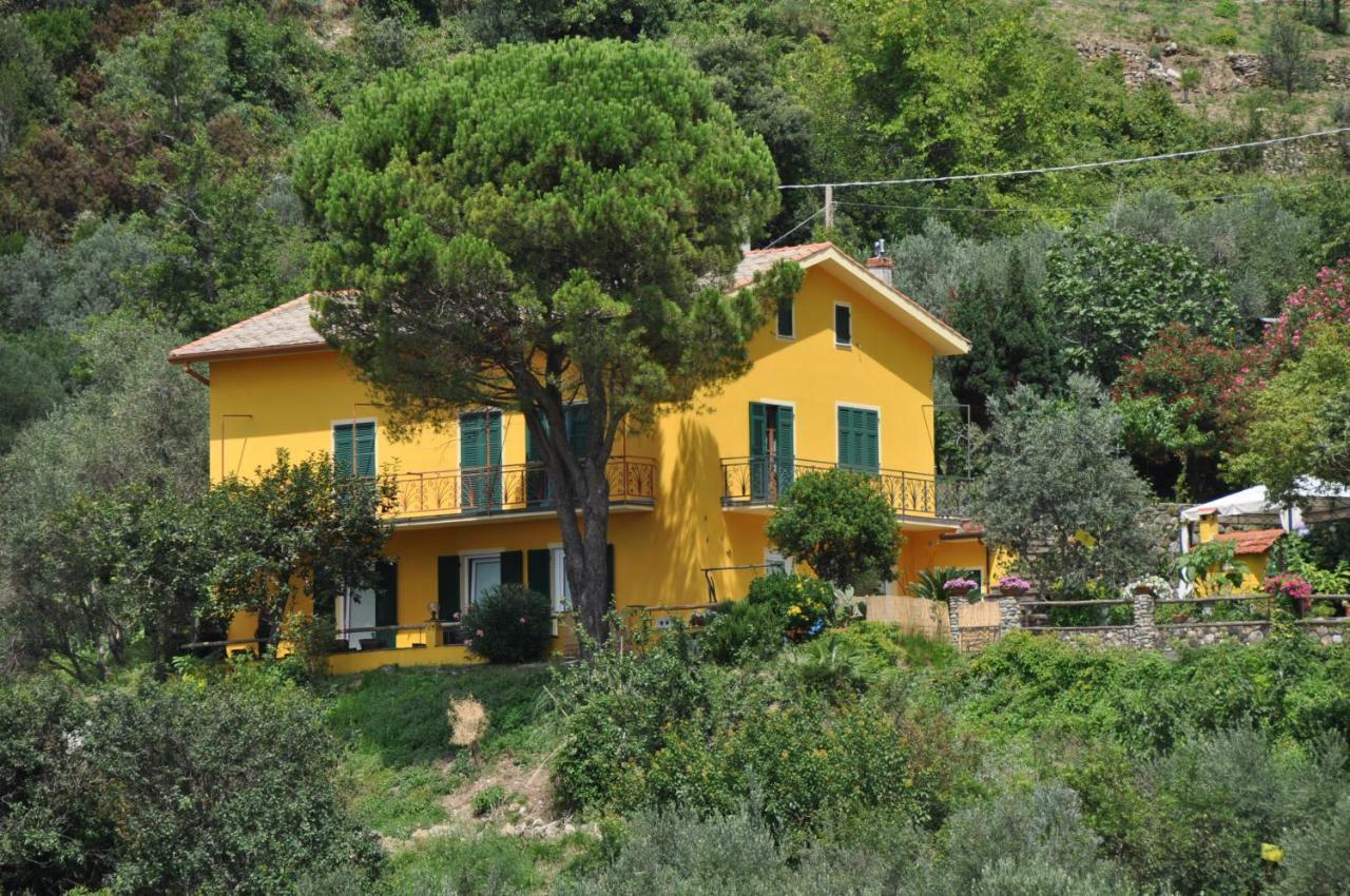 Agriturismo Costa di Campo Vernazza Exterior foto