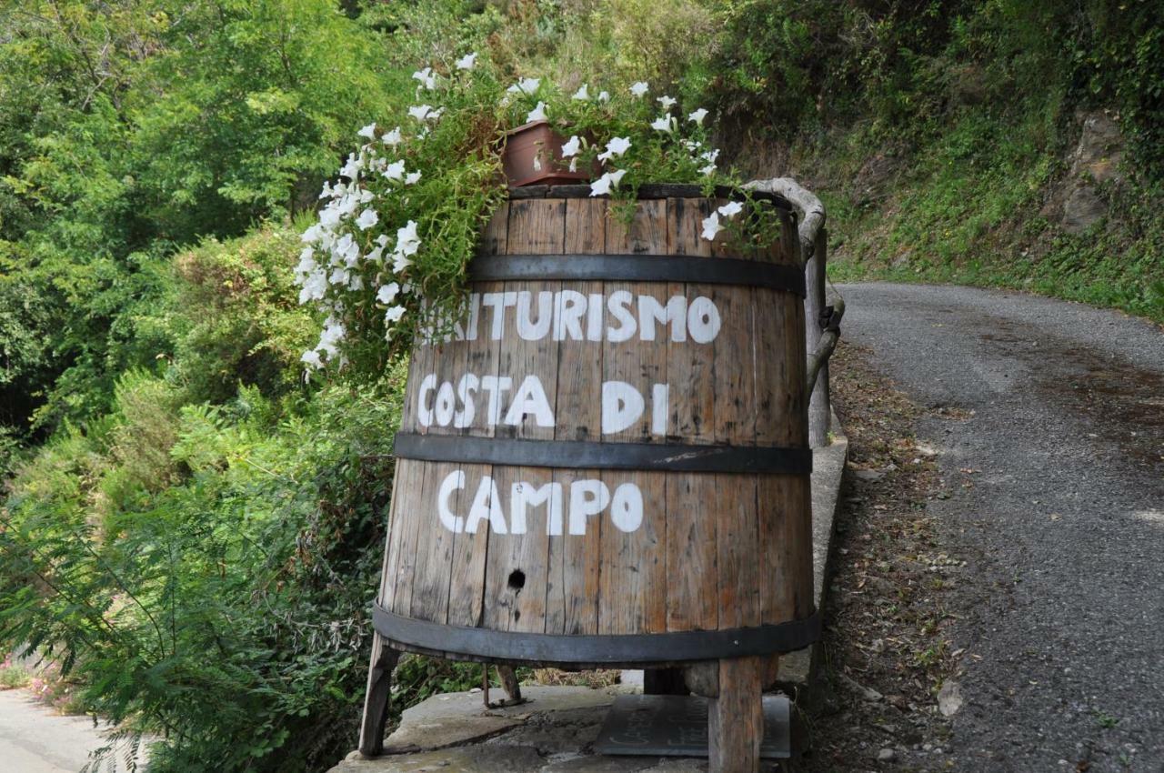 Agriturismo Costa di Campo Vernazza Exterior foto